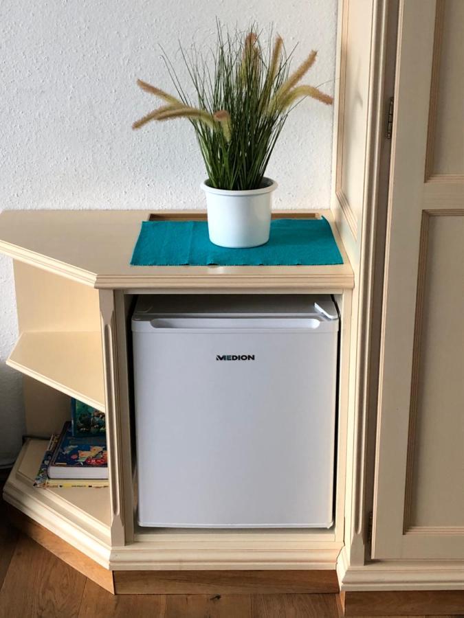 Apartment Goisernperle バート・ゴイーザーン エクステリア 写真
